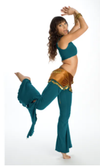 ONLINE Belly Dance Videos to do at your leisure 