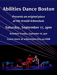 Abilities Dance Arnold Arboretum Performance