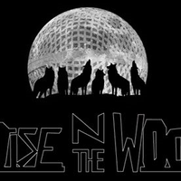 Noise n the Wood by The Wolfpack