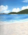 Oil Painting - Hawksnest Beach, St. John