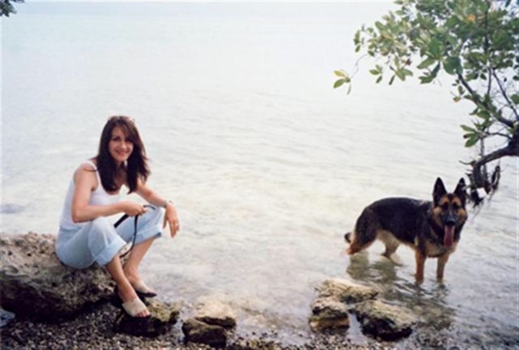 Dog Boarding & Training In Phoenix Dorfman Canine