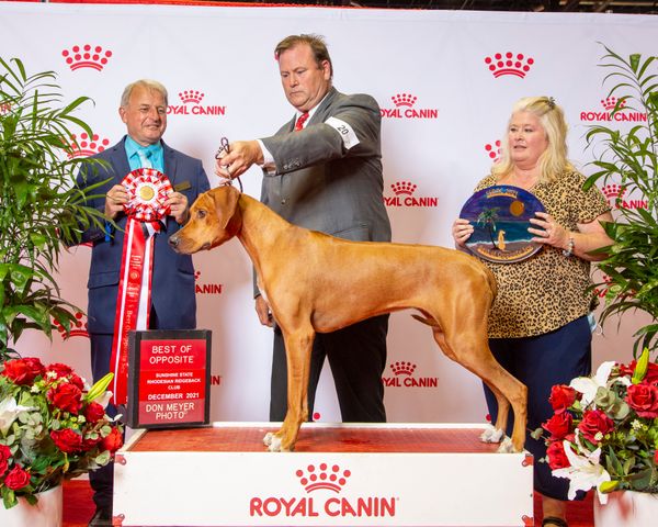 Royal canin best sale rhodesian ridgeback