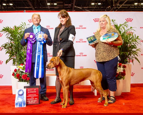 Royal canin hot sale rhodesian ridgeback