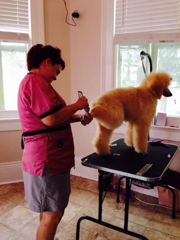 Creole Poodle Club's 2nd annual Grooming Seminar
