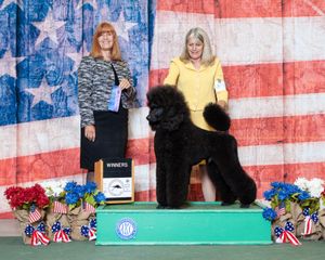 Ann Rairigh and Damon winning his first points