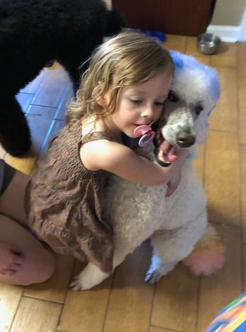 Clover getting hugs from my niece on Easter 2019

