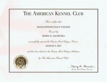 Comet's Canine Good Citizen Certificate, obtained 2011
