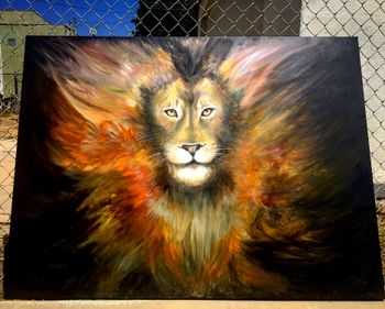 Lion 36x48
