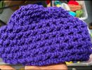 Purple Knitty PA KNIT