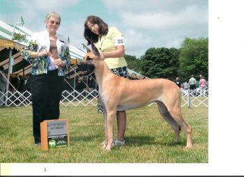 Jenny's first point. Mommouth County Kennel Club Winners and Best of Opposite Judge Beverly Vics
