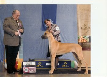 Jenny's first reserve, Judge Doug Holloway. 11 months old
