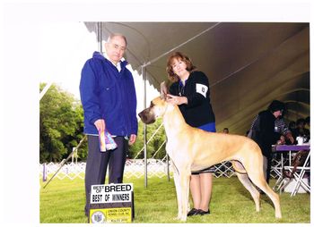 Best of Breed from the Bred By Exhibitor class under Judge Joe Walton.

