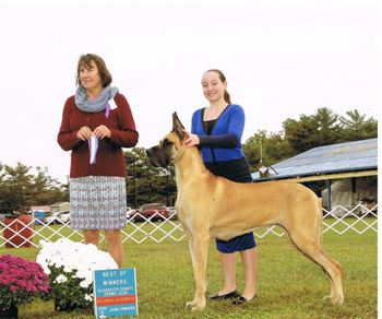 Gloucester County Kennel Club Winners and Best of Winners Oct 2016  Thank You Judge Helen Neitsche

