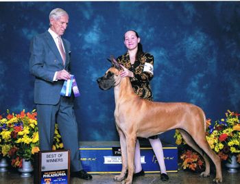 The National Dog Show, Winners and Best of Winners, November 2016 Thank You Judge Joseph Gregory

