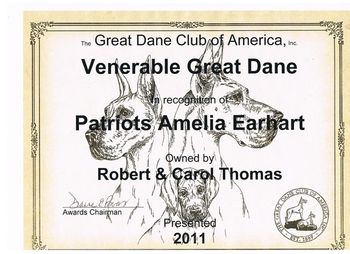 This certificate was awarded to Ama for reaching the age of 10 by the Great Dane Club of America.
