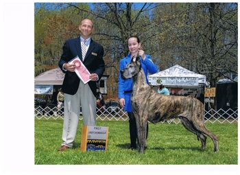 Jules and Bree, first Open Junior Show win, Wilmington Kennel Club
