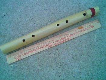 BAMBOO FLUTE - they can range in size from 8-10 inches long, get 5 notes in a "pentatonic scale" and are END Blown
