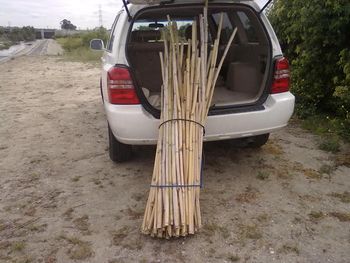 BAMBOO HARVESTED BY ME!!!!
