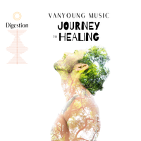 Journey to Healing - Digestion by James Schaller