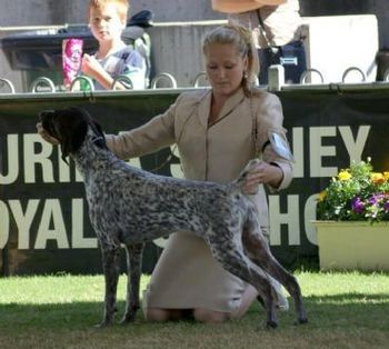Zane winning Puppy of Breed Sydney Royal 2010
