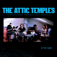 In The Dark by The Attic Temples