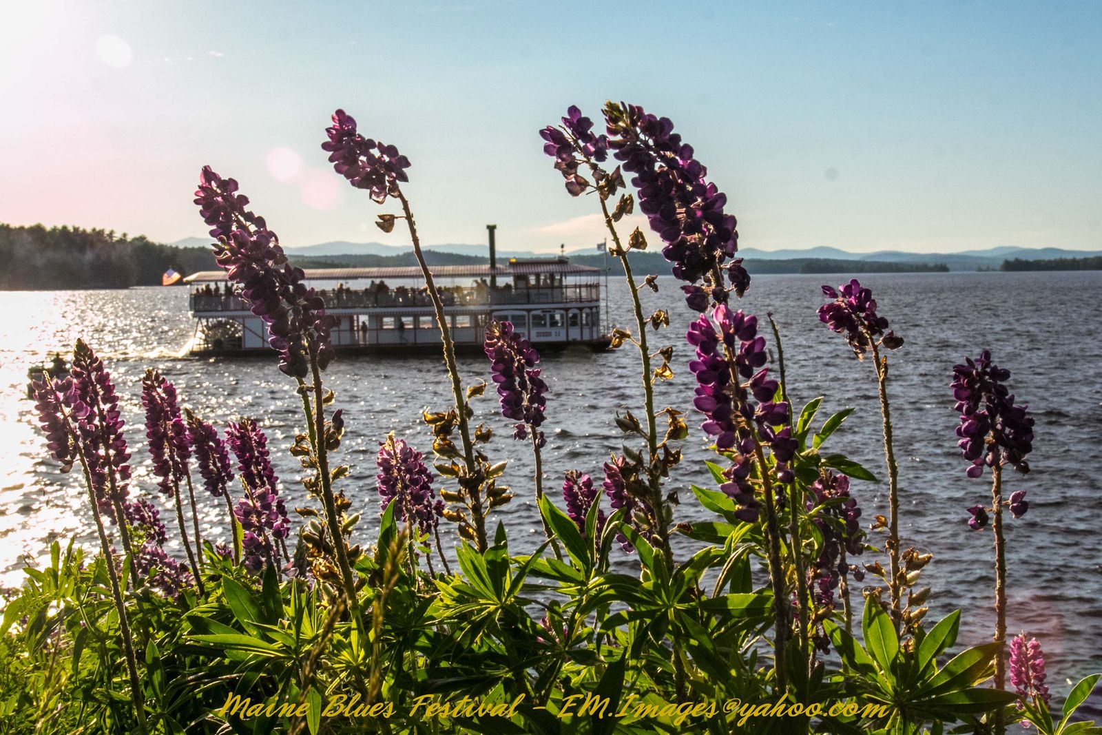 Maine Blues Festival - PHOTOS