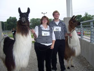 Julie and Adam just before the Halter class with VVA Red's Earth Angel and VVA Shasta at the Gathering in Des Moines, IA