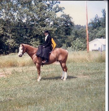 Gettysburg Horse Show
