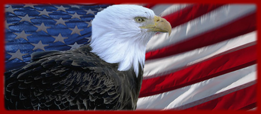 Eagle in front of flag