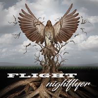 Flight by Nightflyer