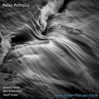 They Know That We Know by Peter Petrucci