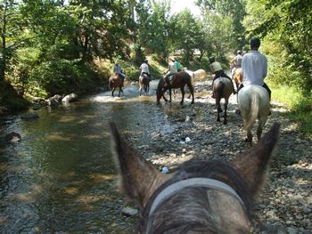 We frequently watered the horses at streams
