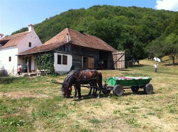 Horses and carts are common in Romania
