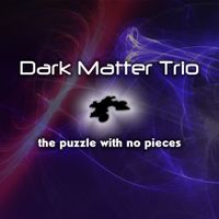 the puzzle with no pieces (CD-quality Wave files) by The Dark Matter Trio