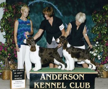 Anderson KC Best of Breed Ch. CrownRoyal's Tea Caddy. WD Crossroad CrownRoyal Tea It Up, Nicklaus
