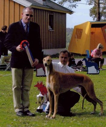 BIS Norwegian Sighthound Show Ch Jets Something in The Way you Smile
