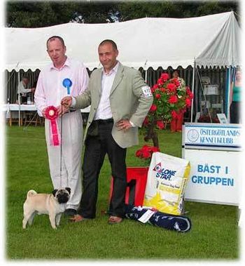 BiG ..who went on to BIS at Ostergotlands kennel club Sweden
