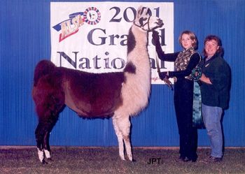 ALSA Grand Nationals 8th Place Adult Light Wool Female Tusen Takk
