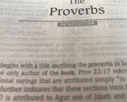 5 Popular Bible Verses In Proverbs