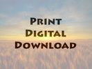 Print digital download (For prints larger than 8"x12")