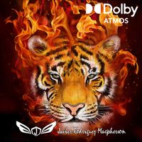 Fire Tiger - Single de Javier Rodríguez Macpherson
