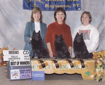 Mardeck had a great day in agility, obedience and confirmation in Syracuse, NY. Shown is Mary Hare with Cruiz, Ursula Hutton with Miss C and Karen Cummings with Maggie.
