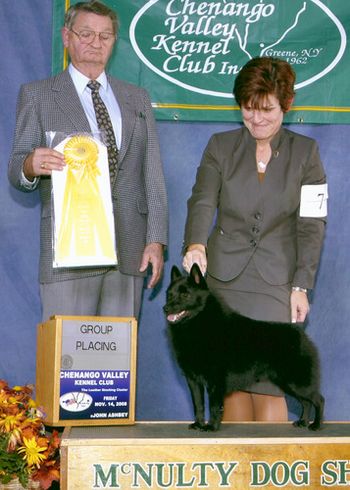 Am GCh Can Ch Logaven's Tryst W'Mardeck (Twister) Co-bred & Co-owned by Shirley Smith & Marnie Layng. Handled by Karen Mammano
