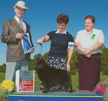 Am GCh Can Ch Logaven's Tryst W'Mardeck (Twister) Co-bred & Co-owned by Shirley Smith & Marnie Layng is now retired after a successful show career. Handled in the USA by Karen & Sam Mammano. Shown winning Group First handled by Karen.
