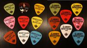 Larry Stevens Custom Guitar Picks (5-pack)