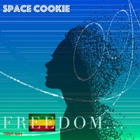 Freedom ( 16bit wav ) by Space Cookie