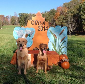 Raine & Reve at the GRCA National Specialty In North Carolina. Oct 2014
