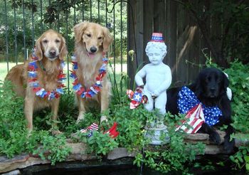 Lacey & her siblings, Bailey on the left and Sunny on the right. July 4, 2012
