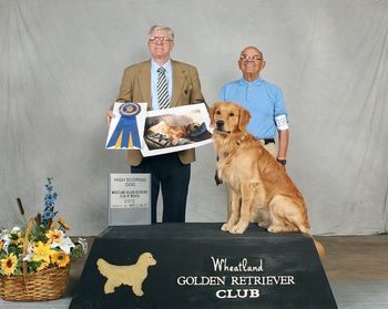 Tico and Dr. J at the Wheatland Golden Retriever Specialty at the Sunflower Cluster, April 5, 2012, Wichita KS

