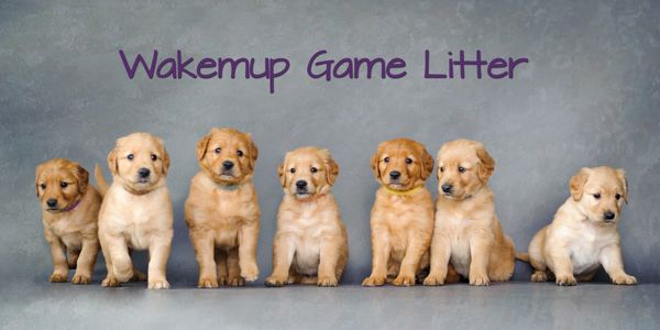 L to R:  Purple, Red, Green, Orange, Yellow, Blue, Pink

June 2, 2015 - Almost 5.5 weeks old